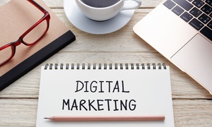 Digital Marketing Online Course