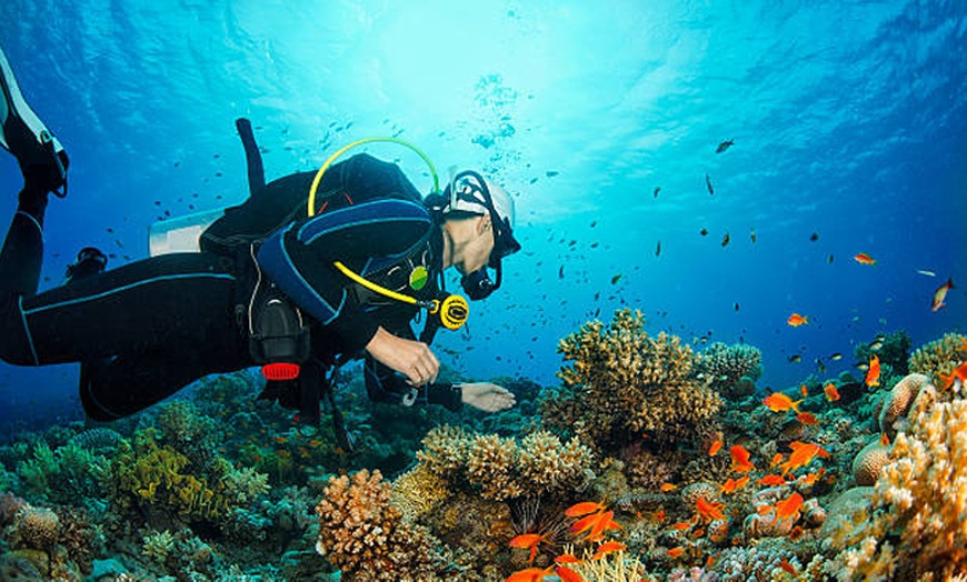 Image 8: Emoción bajo el agua: bautismo de buceo, diploma y descuento en cursos