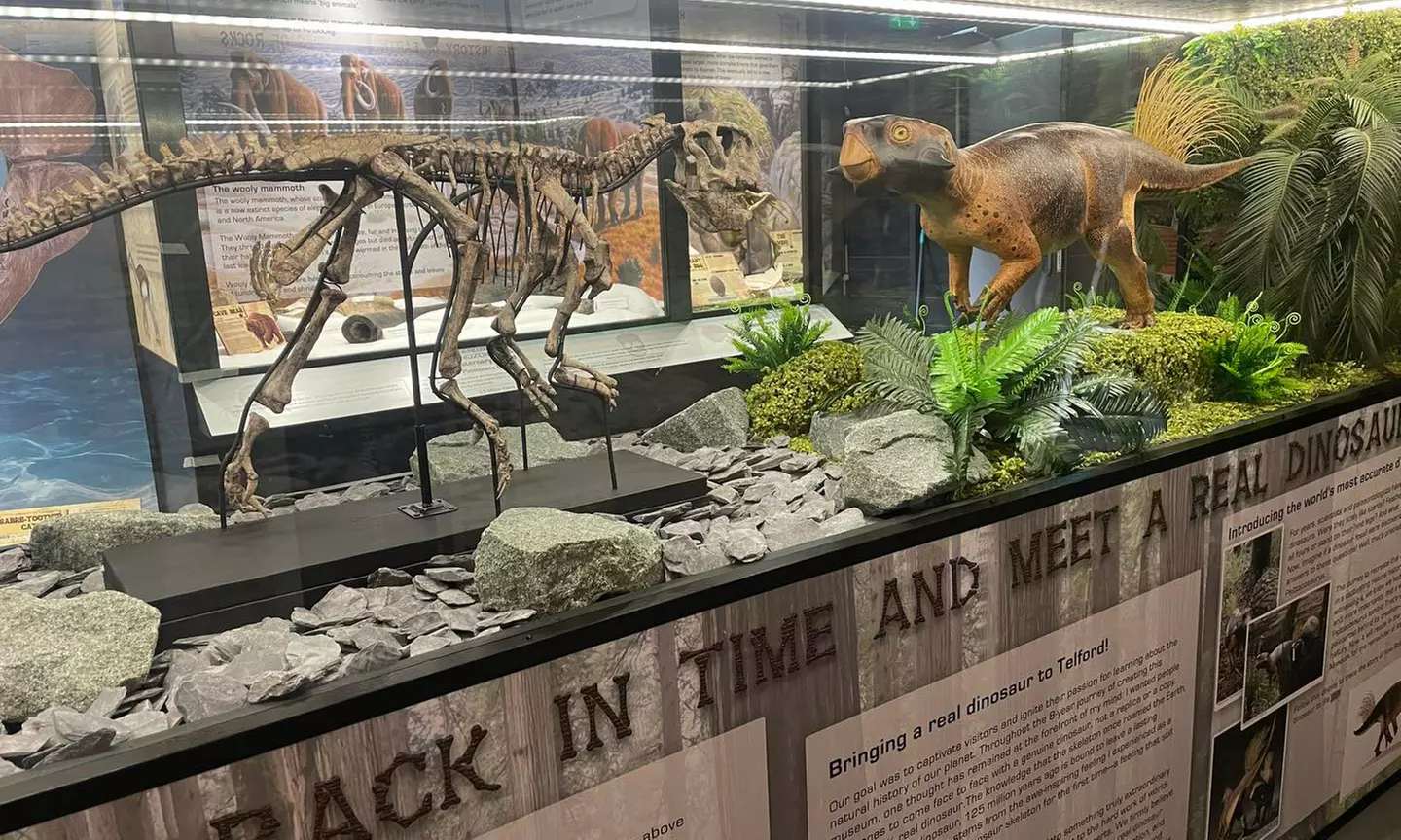 Embark on a Wild Adventure at Up to 58% Off at Exotic Zoo!