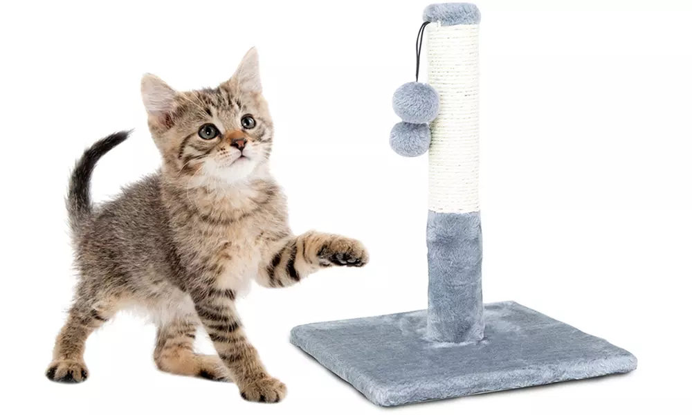 Tiragraffi, gioco, intrattenimento per gli artigli del tuo gatto