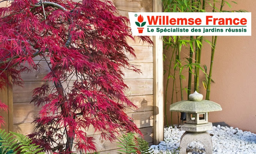 Willemse: Balcons Et Jardins Fleuris - Willemse France | Groupon