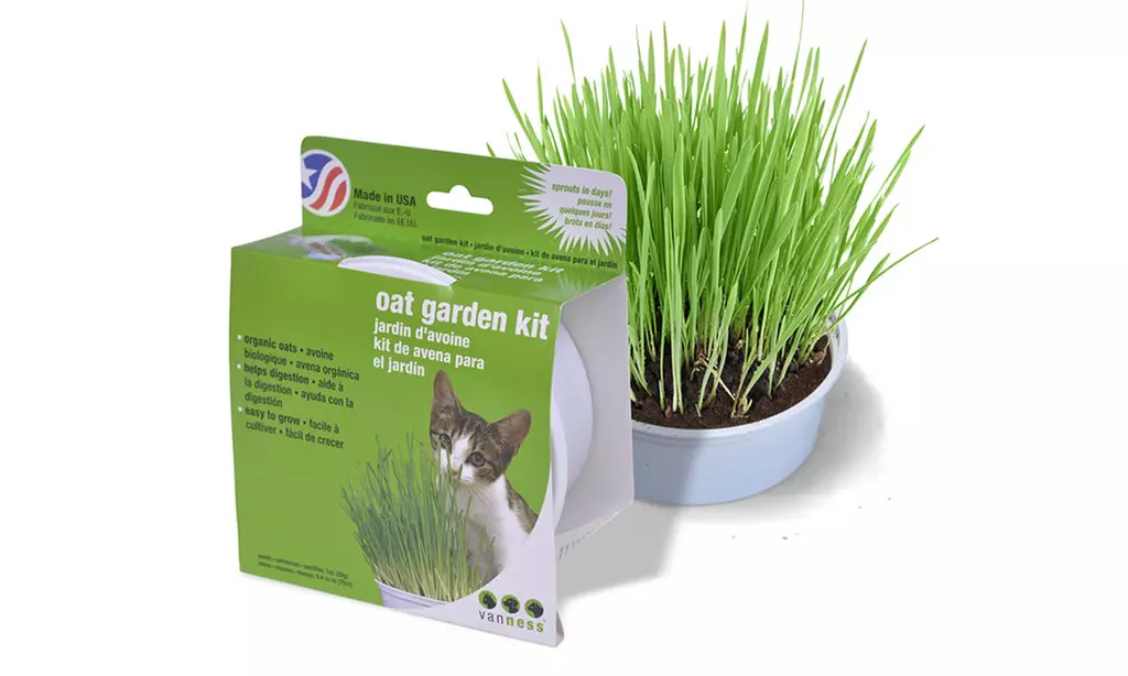 Van Ness Cat Oat Grass Garden Kit (6-Pack) - Primary Image