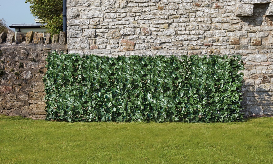 Image 3: Three or Six Meters of Rolled Ivy or Laurel Fence