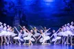 2 Tickets für "Schwanensee" mit dem Ukrainian Classical Ballet in 23 Städten deutschlandweit (31% sparen) - Second Medium
