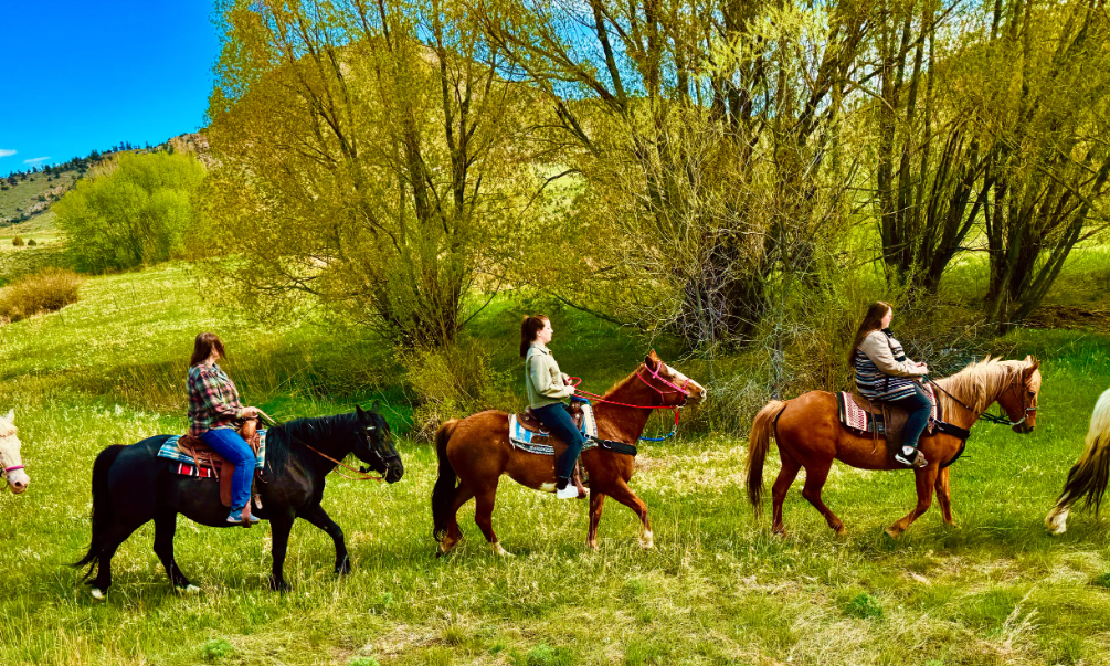 Horseback Riding Scenic