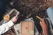 Three-Month Cigar Membership for Three or Five Cigars a Month from CigarClub.com (Up to 41% Off) - Second Medium