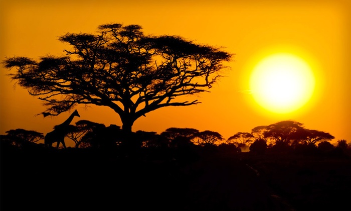 African Safari with Airfare in - Nairobi, null, Kenya | Groupon Getaways