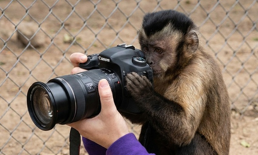 Image 6: Animal Encounters, VIP Experiences, or Wildlife Educator for a Day!