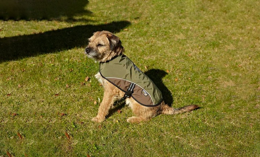 Image 1: Petface Outdoor Paws Dog Coat