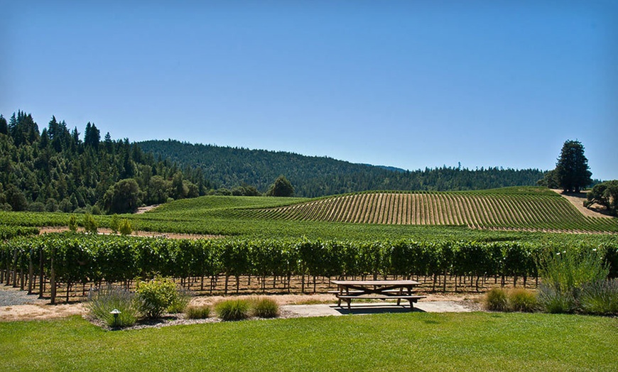 California Wine Tour in - Healdsburg, California | Groupon Getaways