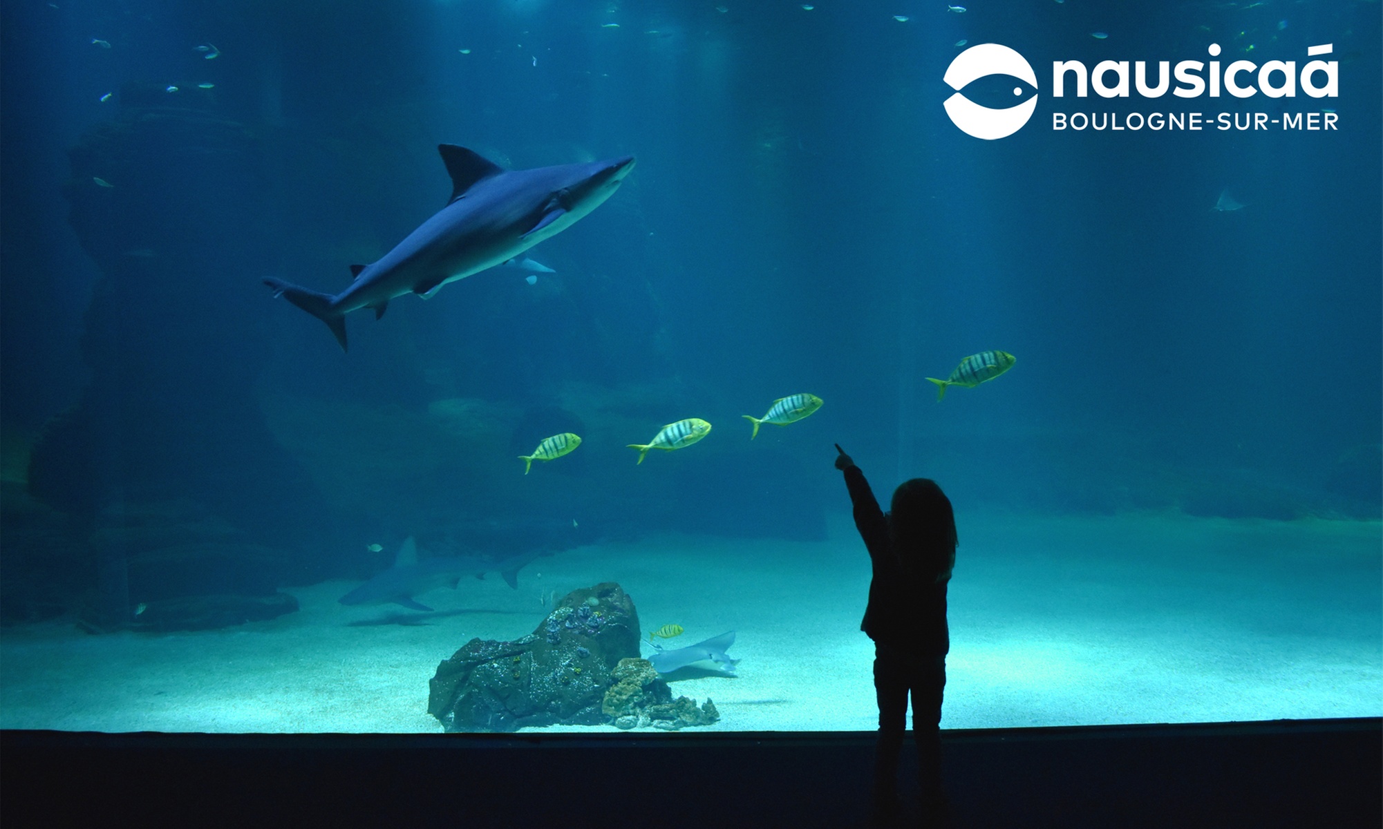 Entrée à l'aquarium Nausicaá