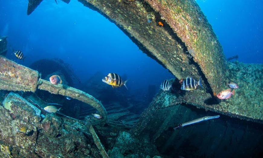 Image 8: Hasta 24% de dto. en Submarinismo en Scuba Point Diving Tenerife