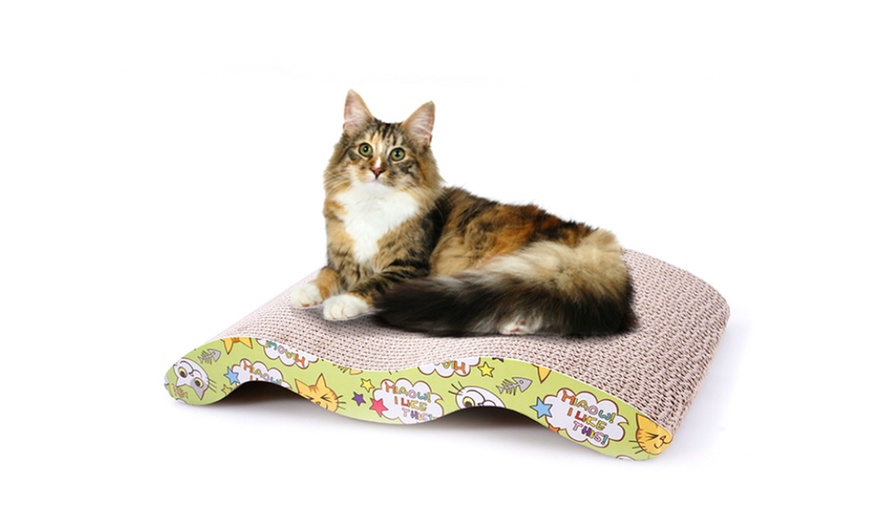 Image 2: Cat-Care Accessories 