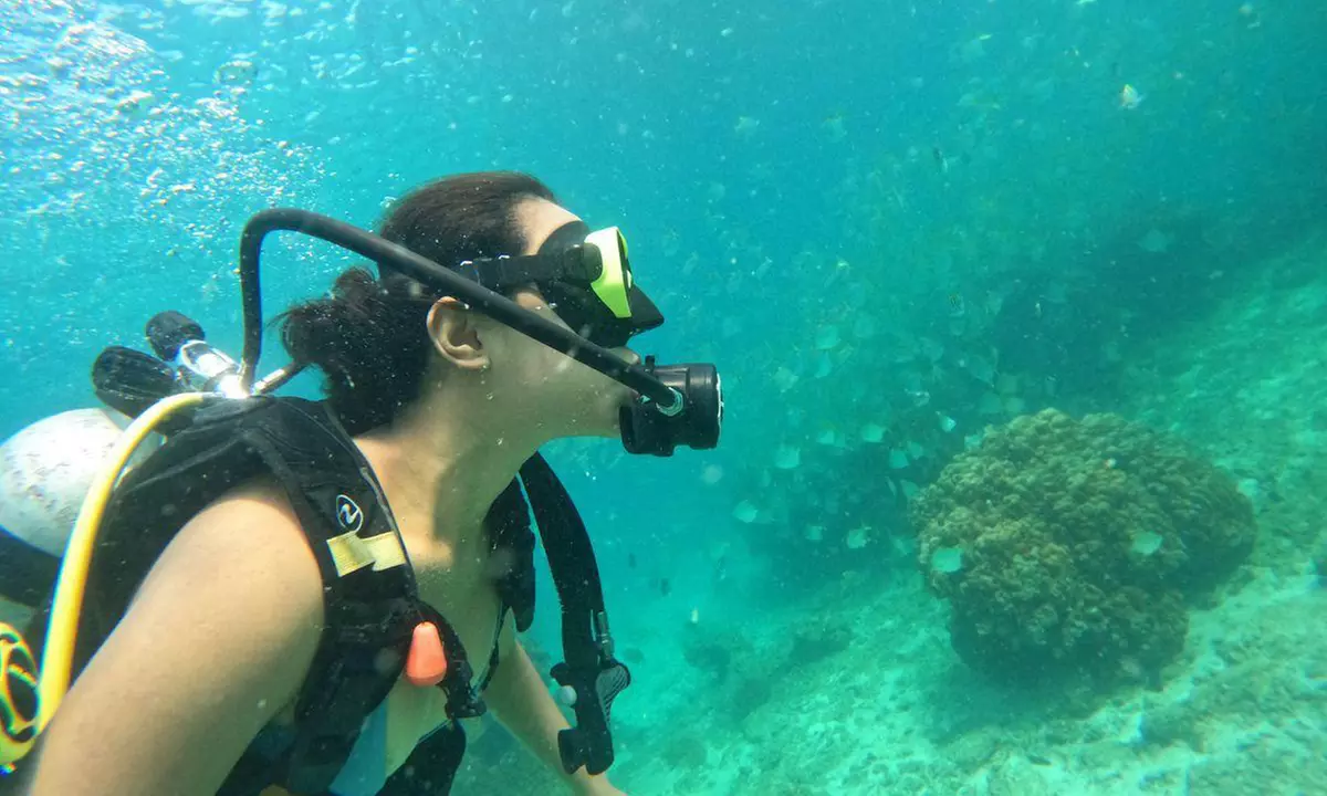 Embark On Adventure: Try Dive, Snorkeling Trip and Boat Trip