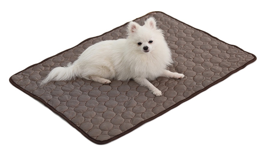 Image 10: Pet Cooling Mat