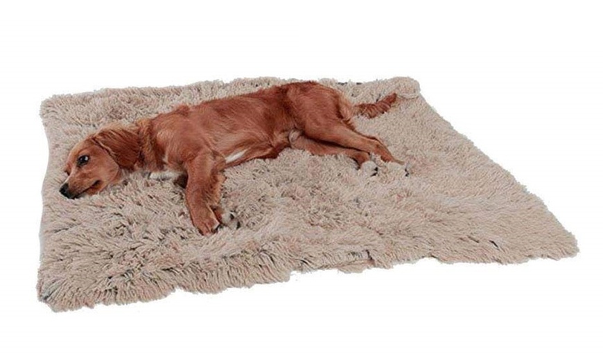 Image 2: Plush Pet Blanket