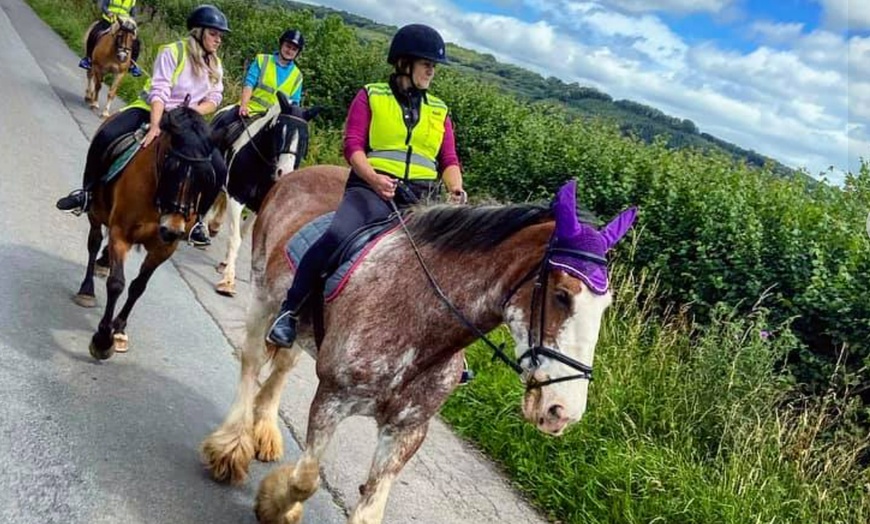 Image 17: Horse Riding and Trekking Lesson at SevernwyeEquestrian