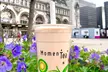 Bubble tea et/ou mochis au choix, pour 1 ou 2 personnes, à Momen'Tea Gare de Lyon (jusqu'à 44% de réduction) - Second Medium