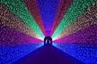 100 LED Fairy Lights Net - Second Medium