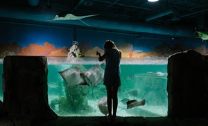 Aquarium and Zoo Admission