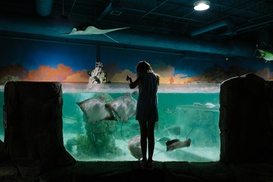 Admission to SeaQuest Aquarium and Zoo