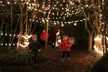 General Admission for One Child, Senior, or Adult to Chattanooga Zoo (Up to 37% Off) - Second Medium