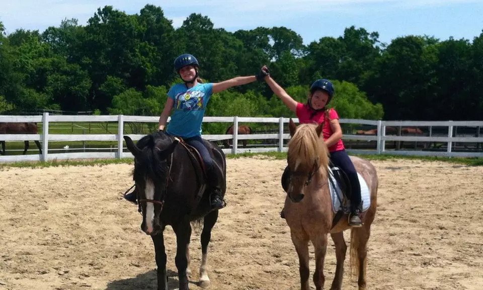 $30 for $55 Worth of Services — Autumn Riders Equestrian Team - Primary Image