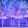 Nutcracker Ballet - Nutcracker! Magical Christmas Ballet | Groupon