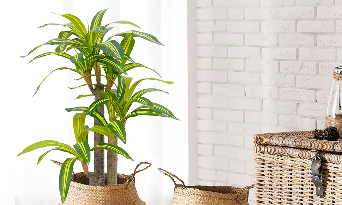 Collezione di piante finte da interno