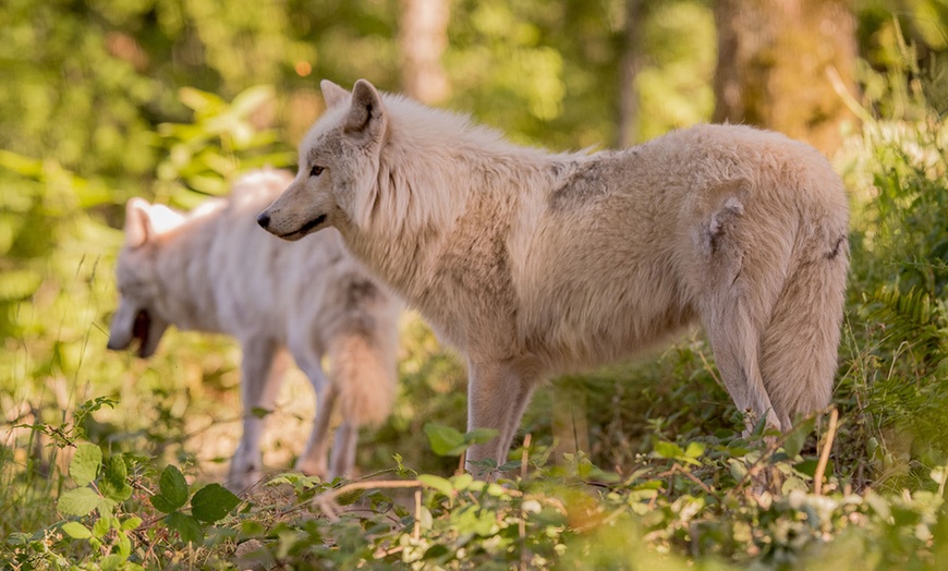 Image 1: Entrée au Parc Animalier de Courzieu 