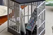 One or Two Mobile Phone Jails - Second Medium