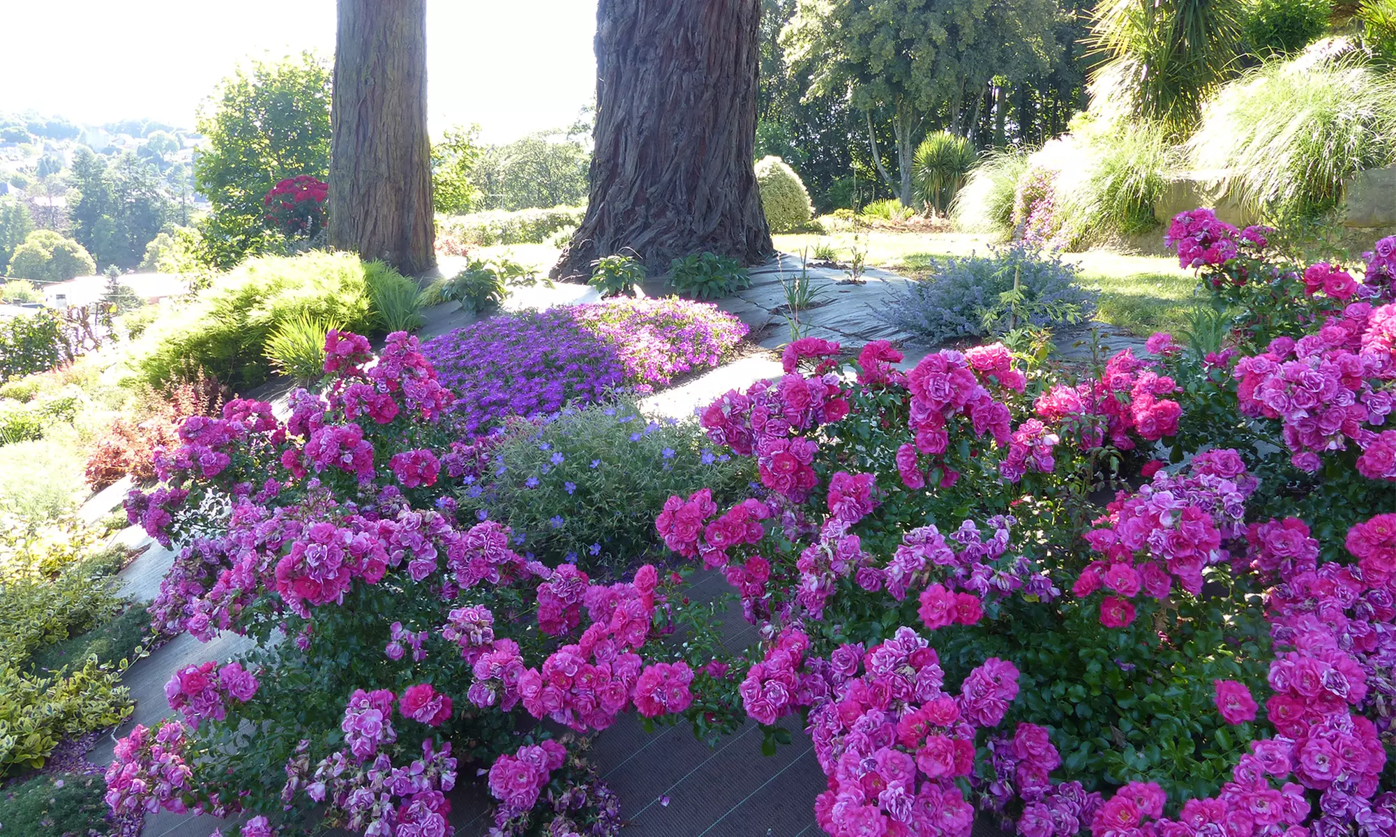 Parenthèse de sérénité : découvrez le Domaine des Chevaliers de Malte