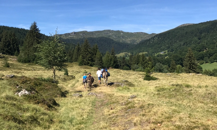 Image 3: Jusqu'à 40% de remise sur Équitation - Loisir chez Le Col De La Molède À Cheval