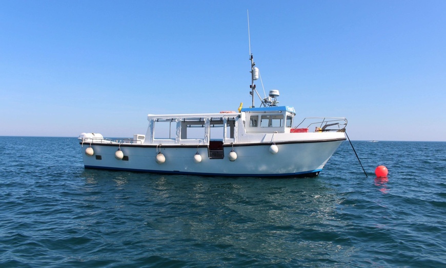 Image 5: Seal-Dolphin Spotting & Godrevy Lighthouse Trip-Upto 4 Adults & 2 Kids