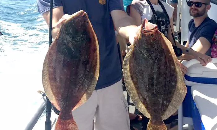 One Afternoon Half-Day Fishing Charter for Up To 4 People!