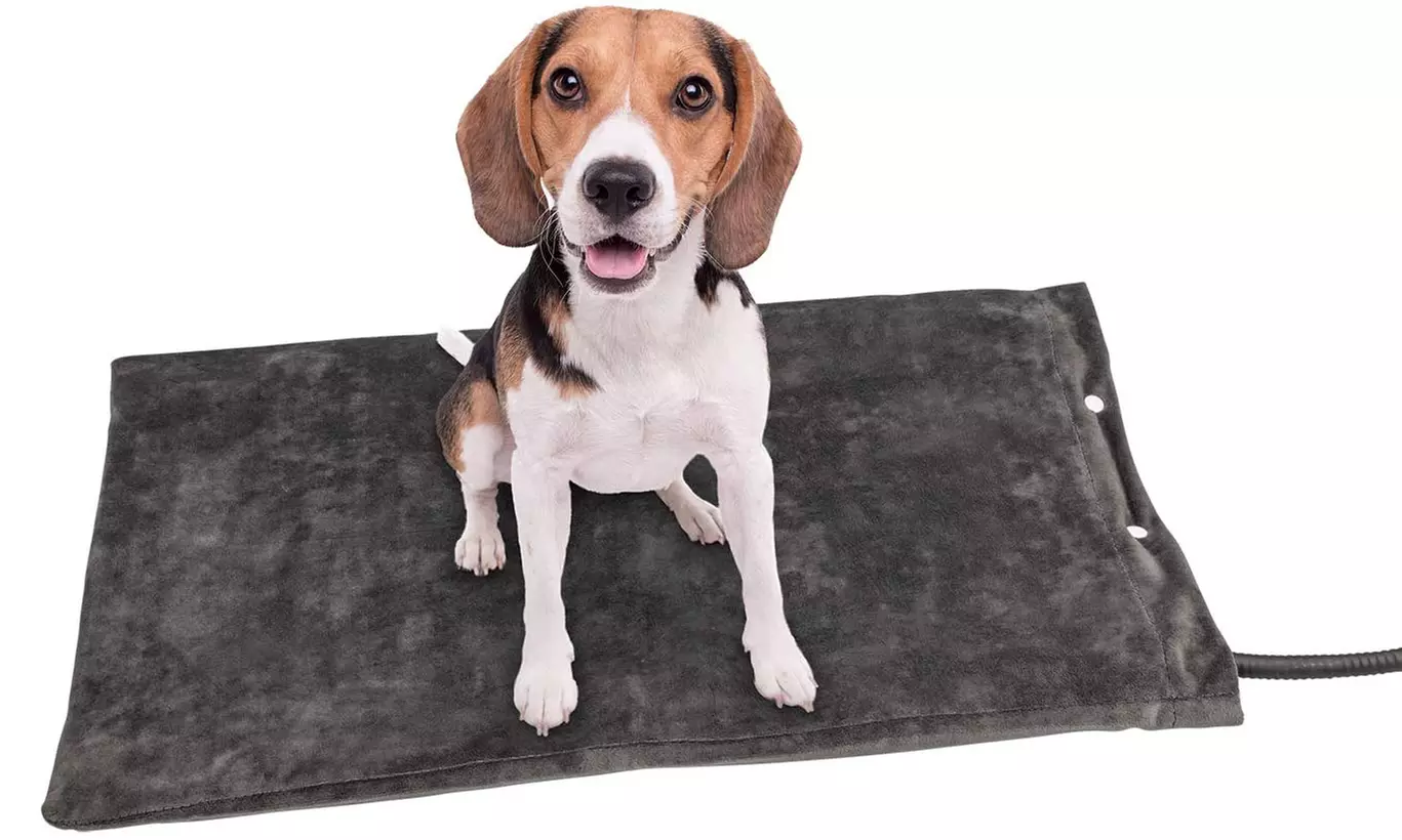 Coperta riscaldante per animali HeatUp Wintem, con spedizione gratuita - Primary Image