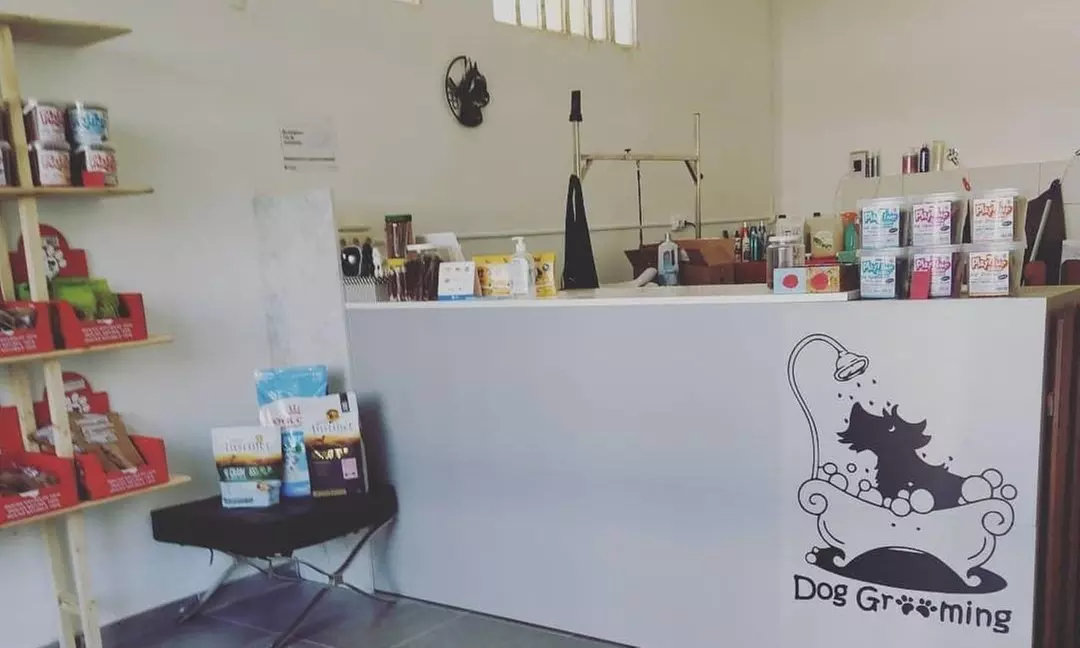 Hasta 46% de dto. en Mascotas - Aseo/Salón en Peluqueria Canina Rental Gos