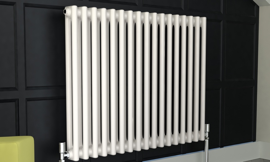 Image 4: Verona Two-Column Radiator