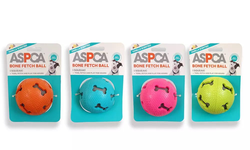 ASPCA Squeaking Fetch Dog Toy (4-Pack) - Primary Image