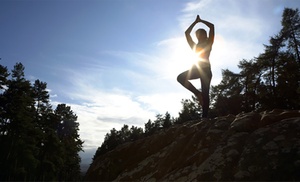 Teutoburgerwoud: yoga- en meditatie-introductie incl. maaltijden