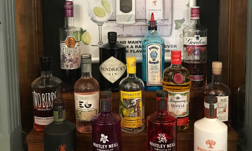 Image 1: Gin-Tasting with Mixers