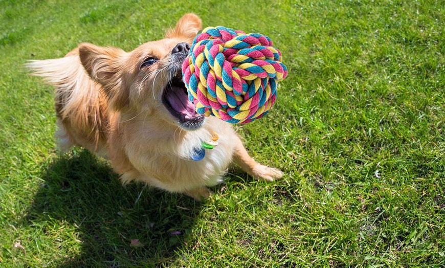 Image 9: Rope Toys Set for Dogs