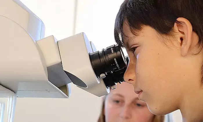 Tour or Lecture at The Brain Observatory (Up to 40% Off) - Primary Image