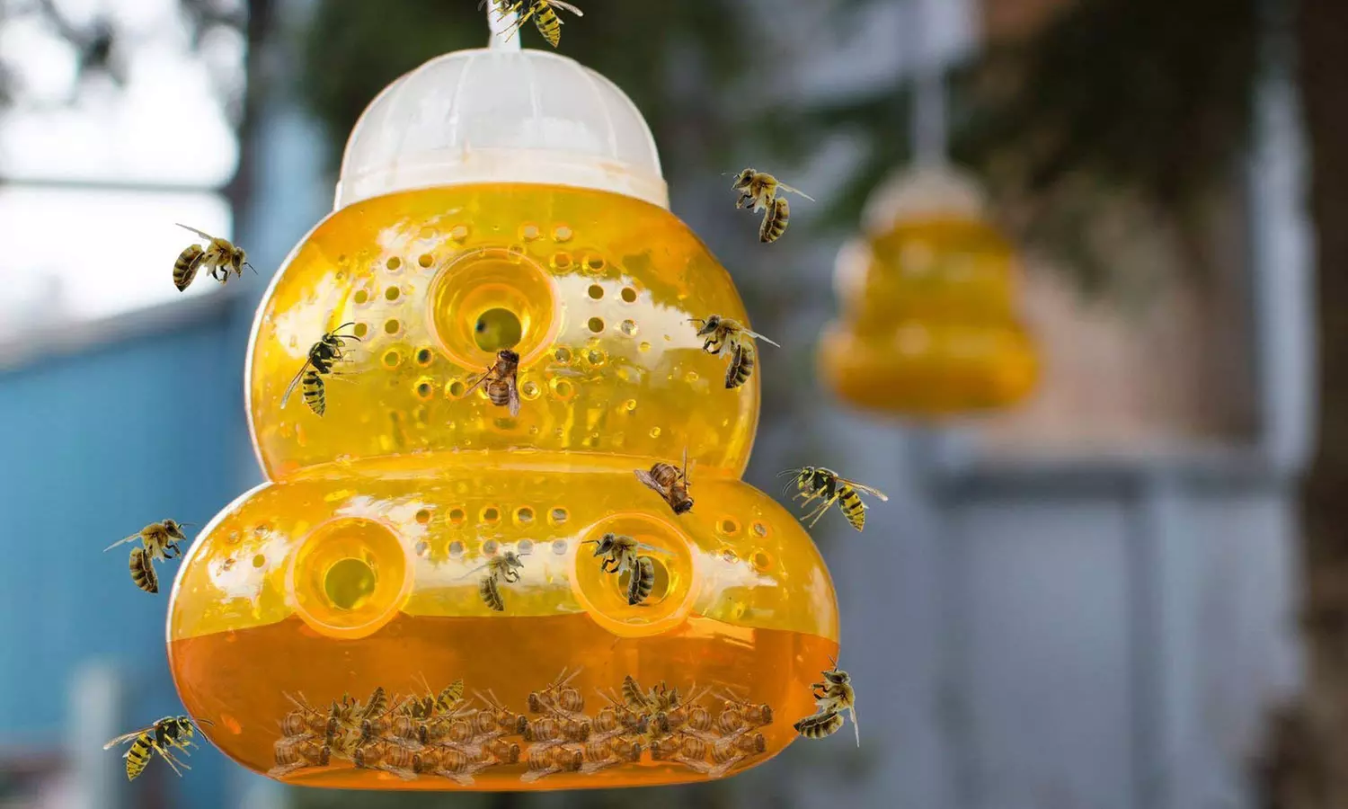 2 pièges à guêpe - Image 3