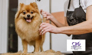 Complete Pet Care Course