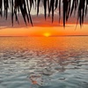 Image 3: Set Sail on a Group Floating Tiki Bar Adventure

