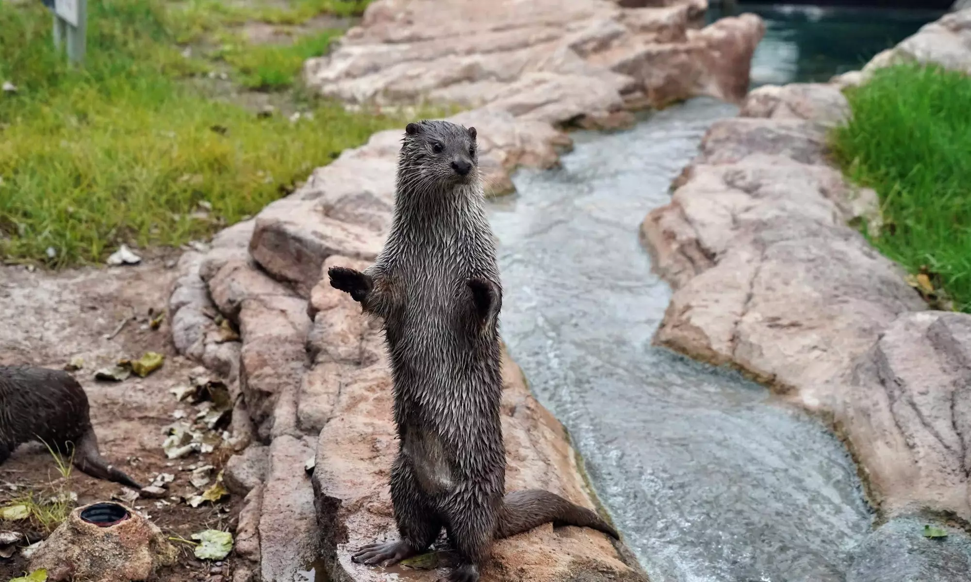 Entrada de un día para niño o adulto en Terra Natura Murcia