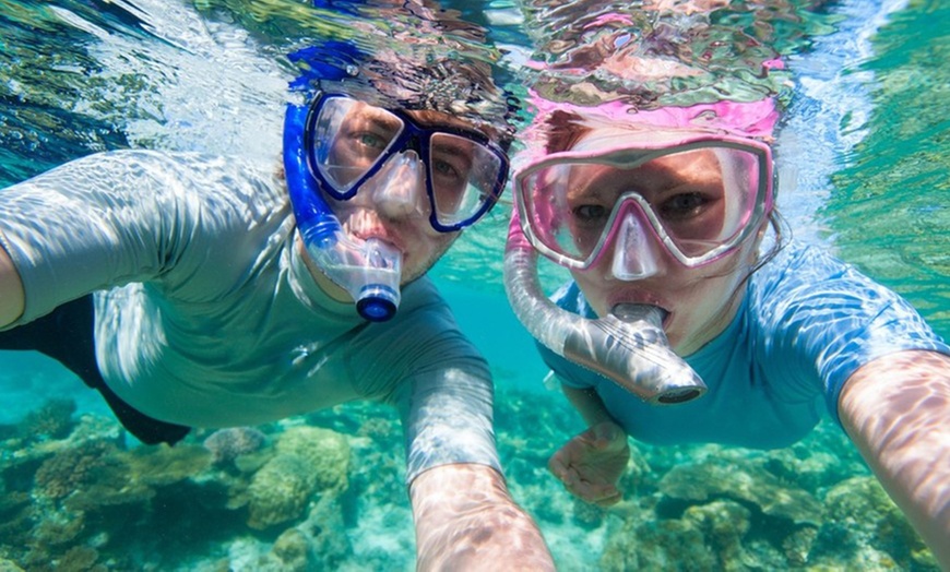 Image 4: Dive into Fun: 4-Hour Snorkelling and Island Adventure for 1, 2 or 4