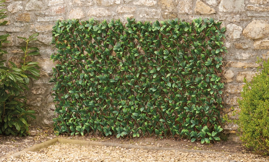 Image 2: Artificial Hedge Trellis