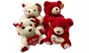Valentine's Day Plush Bear with Embedded Heart